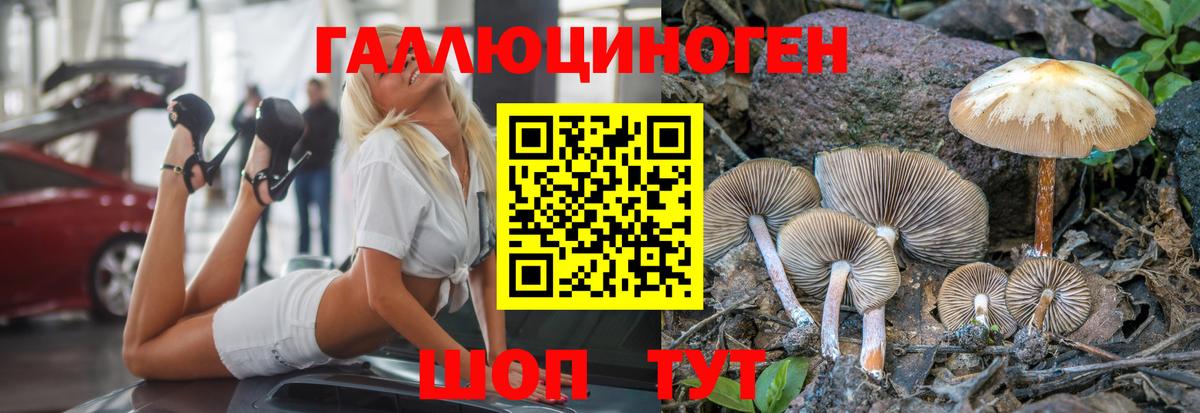 Галлюциногенные грибы Cubensis  Вход с VPN  Галлюциногенные грибы Magic Shrooms  наркотики  Тихорецк 